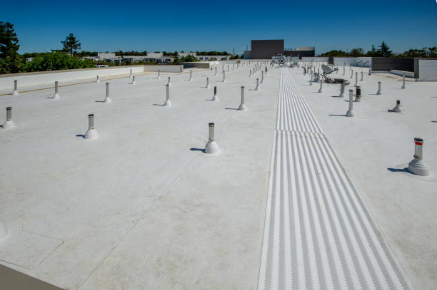 Best Roof Maintenance and Cleaning  in Long Hill, CT